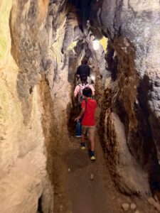 「沖縄県うるま市石川の鍾乳洞を探検する発達支援 STAGE NINEの児童たち」