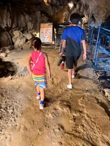 「鍾乳洞内の見学ルートをゆっくり歩く児童放課後等デイサービスの活動風景」